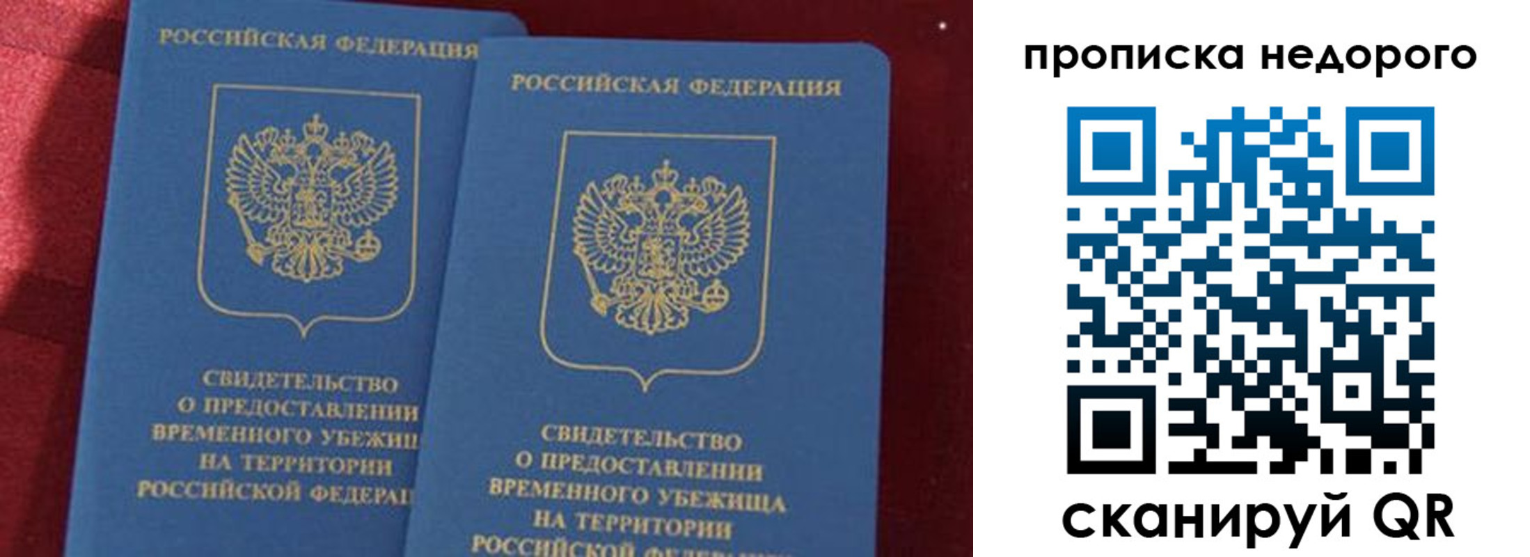 прописка гарантия в Коркино
